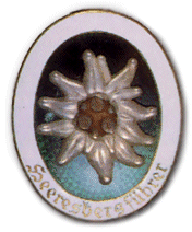 Heeresbergefhrer Badge